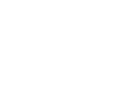Veículos Elétricos